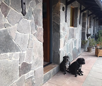 Prírodný porfýr Grigio Rosa, nepravidelné tvary, hr. 1-3 cm